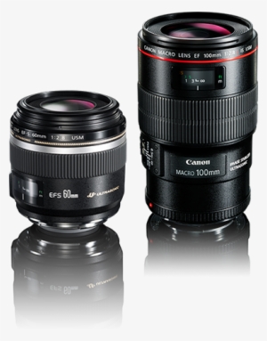 Macro Lenses Top Hero - 2.8 L Macro Is Usm #2550583