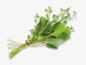 Fresh Herbs, Garnishes And Flowers - Vegetable Flower #2550837