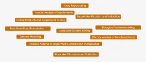 Combinatorial Drug Therapy For Cancer In The Post-genomic - Tan #2550861
