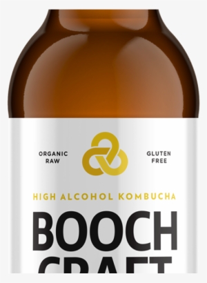 Boochcraft Ginger Lime Rosehips 22oz - Boochcraft Ginger Lime Rosehips #2551061