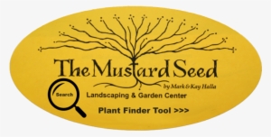 Plant Search Tool - Mustard Seed #2551114