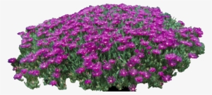 Presentation Boards Sketches Graphics Designs Interior - African Daisy #2551231