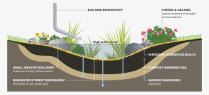 Rain Garden Cross Section - Rain Garden #2551329