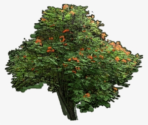 Try The Demo Or Choose A Plan - Garden Puzzle Plants #2551369