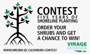 Shrubs Contest - Brome-missisquoi Regional County Municipality #2551400
