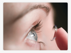 Eagan, Maplewood, Roseville, Woodbury, Mn And Osceola, - Contact Lenses #2551832