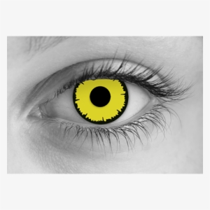 Yellow Halloween Contact Lenses #2551834