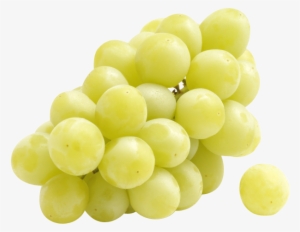Thompson Seedless, Sugra One, Black Seedless, Flame - Grape #2552234