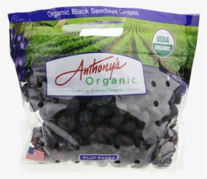 Seedless Fruit #2552255