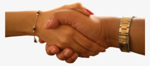 Holding Hands #2552504