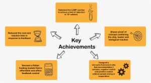 Successfully Digested, Ligated, And Transformed Rfbe - Diagram #2553126