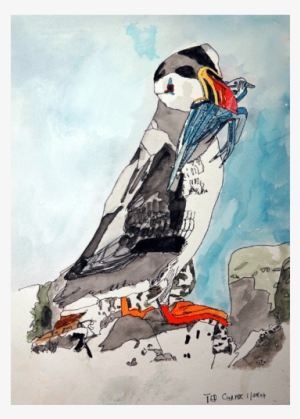 Watercolor Birds 2 - Watercolor Painting #2553330