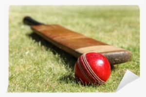 Old Cricket Bat And Ball #2553494