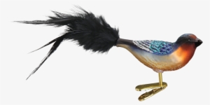 Birds Swallow Pngmart002 Load20180523 Transparent Png - Old World Christmas Clip-on Ornament - Hooded Oriole #2553656