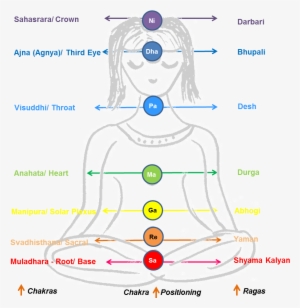 Swaras And Ragas Theory - Carnatic Raga And Mood - Free Transparent Png 