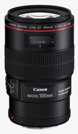 100f - Canon Ef 100mm F/2.8 L Macro #2553934