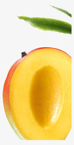 Nourishing - Klorane Nourishing Shampoo With Mango Butter #2554130