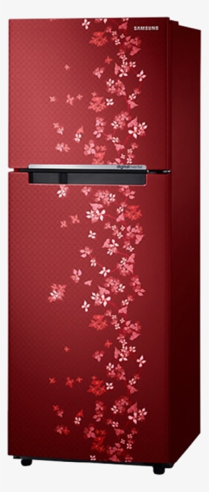 Samsung 253 L Frost Free Double Door Refrigerator #2554993