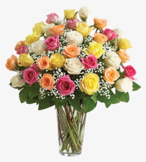 Color Me Pretty Roses In Houston, - Ultimate Elegance Long Stem Assorted Roses - Flowers #2555283