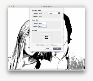 Screen Shot 2015 06 04 At - Pop Art Black And White Photo Editor #2555460