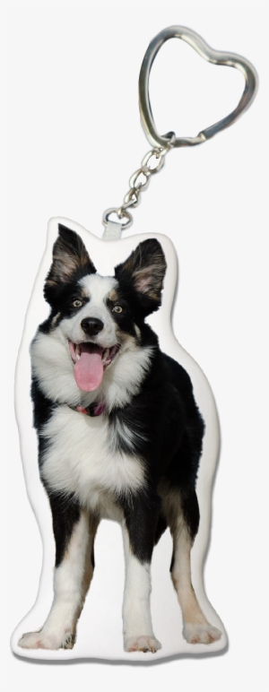 Collie Key-chain - Keychain #2555866