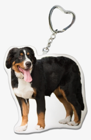 Bernese Mountain Dog Keychain - Bernese Mountain Dog #2556128