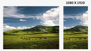 Background Image - Grassland #2556130