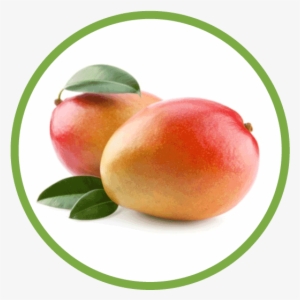 Mango-circle - National Symbols Of India Fruit #2556209