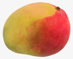 1 Unit - Mango - Mango #2556266