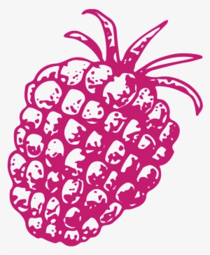 Hand Drawn Pineapple Transparent Vegetables - Vegetable #2556300