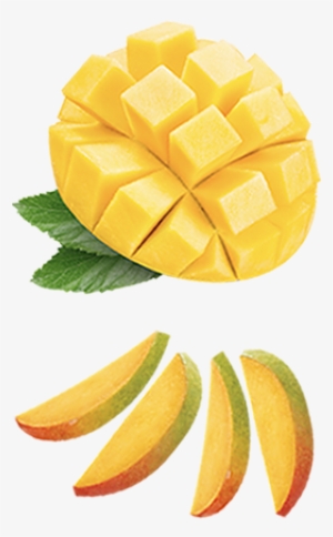 Our Commitment To Being Environmentally Friendly Is - Mango #2556405
