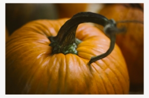 Pumpkin Spice Latte Photograph #2556432