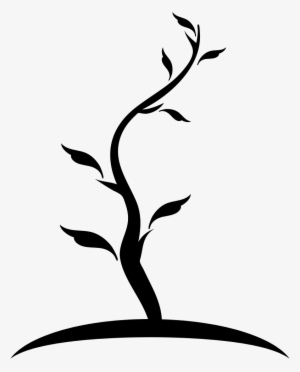 Tree Thin Shape Of Young Trunk With Few Leaves Comments - Tronco Arbol Dibujo Png #2556467