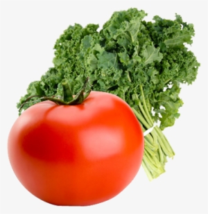 Bend Oregon Organic Csa Aquaponics - Magikuchen Multi-blade Stainless Steel Herb Scissors #2556471