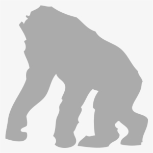 Primates, Monkies - Mountain Gorilla #2556553