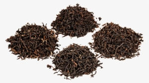Organic Indian Black Tea Sampler - Make Orange Pekoe Tea #2556581