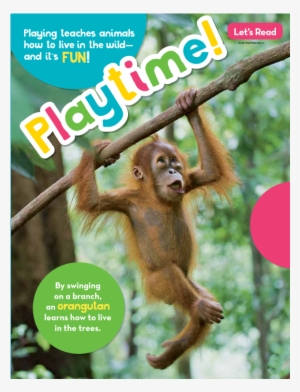 Read It - Rhesus Macaque #2556691