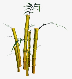 Image - Bamboo #2556904
