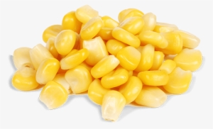 Fill Half Your Plate With Veggies At Every Meal - Heinz Italia Spa Heart Of Nature Beans #2557474