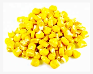 Sweet Corn Factory, Sweet Corn Factory Suppliers And - Product #2557681