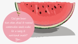 Seed Fact - Watermelon #2558158