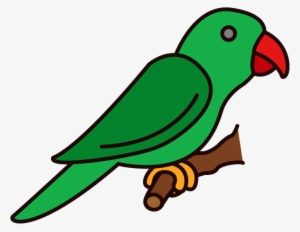 Png Coloured - Parrot #2558406