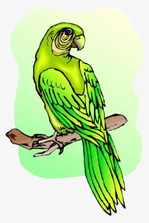 Free Parrot And Macaw Clipart - Macaw #2558484