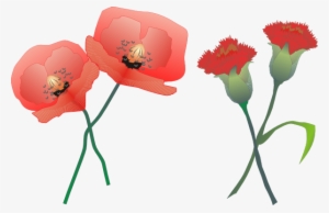 Blossoming Carnations Clipart Png For Web #2561257