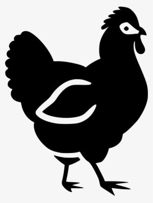 Chicken Hen Animal Comments - Chicken #2562395