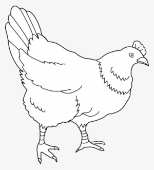 Cute Hen Clipart Free Clipart Image Image - 8 Hens Black And White Clipart #2562460