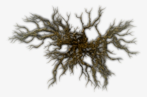 I Also Added A Bevel Effect To Make The Branches A - Tree Top Down Png #2562491