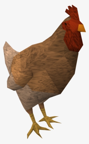 White Chicken - Rooster #2562492