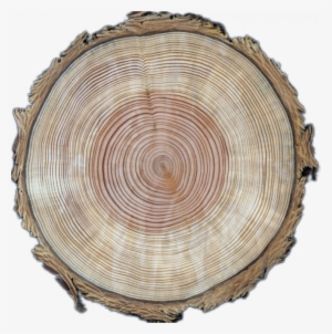 Earth's Hottest Topic Is Just Warming Up #2562586