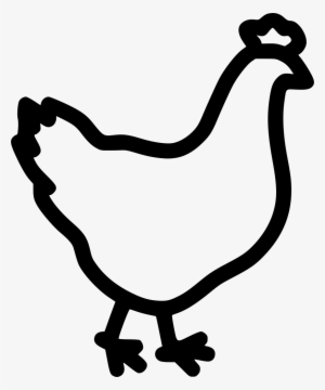 Hen Bird Poultry Chicken Comments - Poultry Icon Svg #2562747